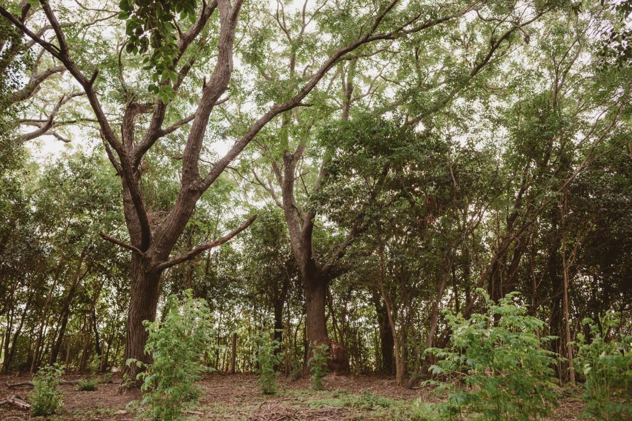 El Rincon - Casa De Campo Carmelo Kültér fotó
